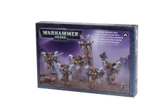 Blood Angels Sanguinary Guard (2014)